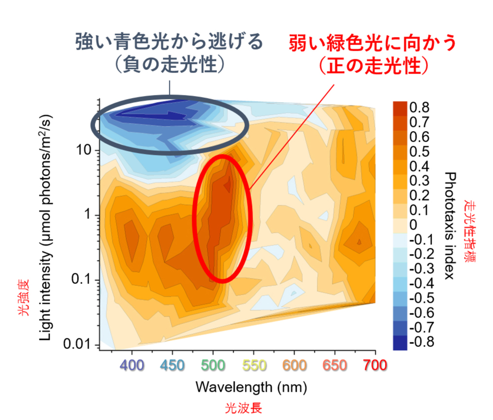 fig5.jpg