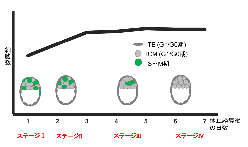 fig2.jpg