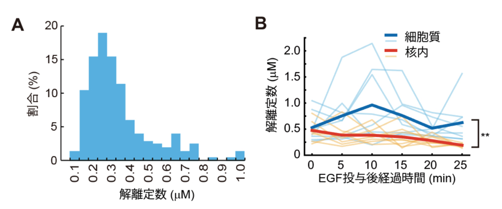 fig3.jpg