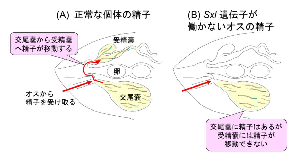 fig2.jpg