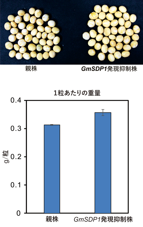 fig2.jpg