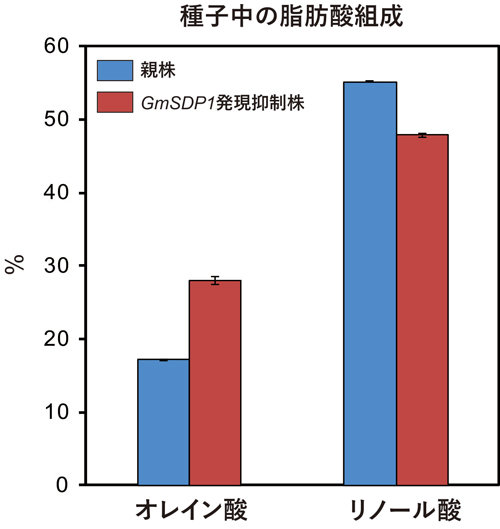 fig3.jpg