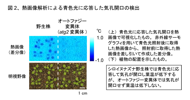 fig2.jpg