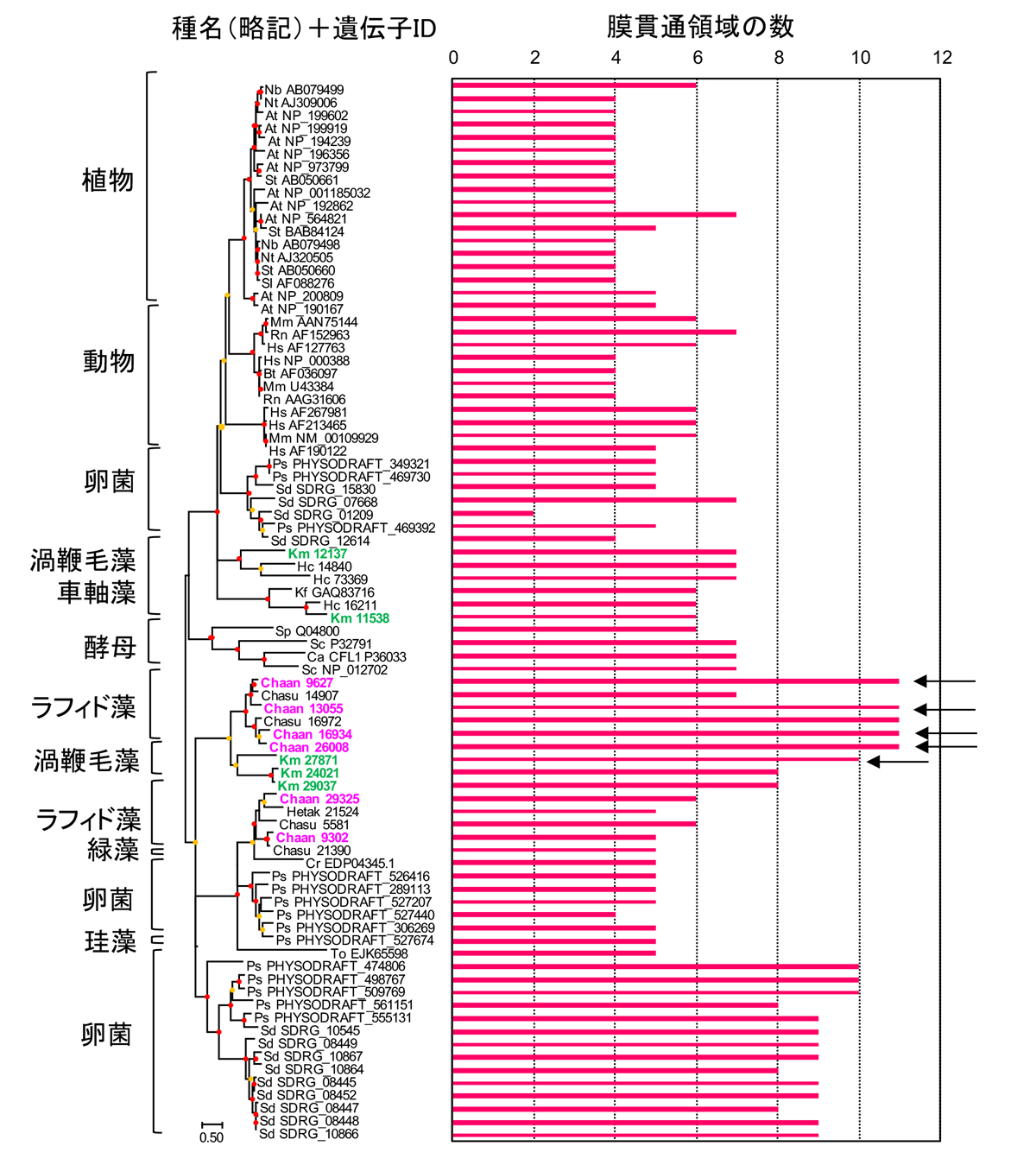 fig2.jpg