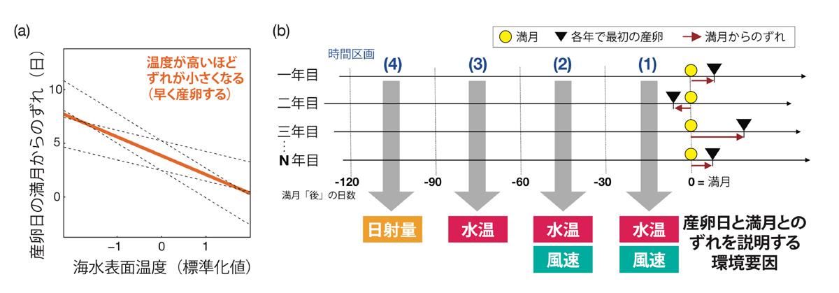 fig2.jpg