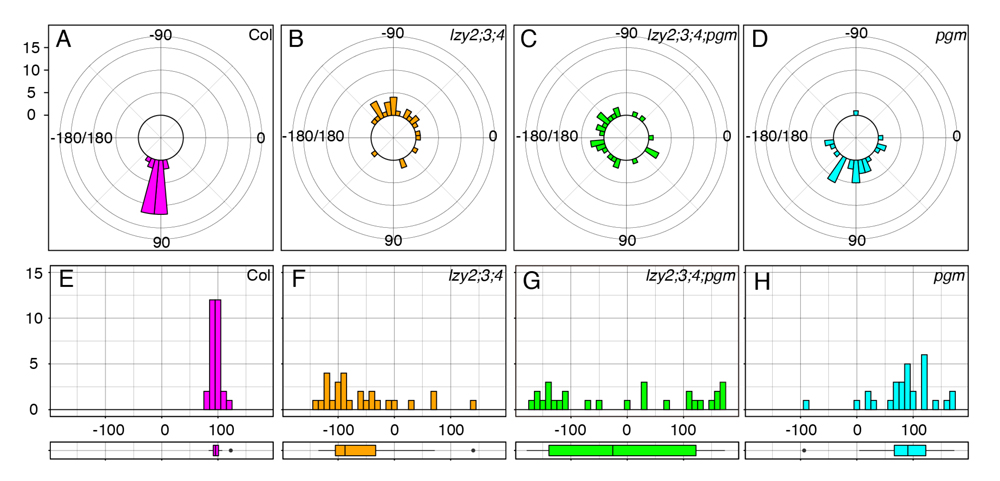 fig2.jpg