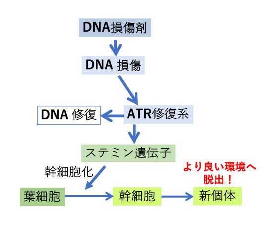 fig2.jpg