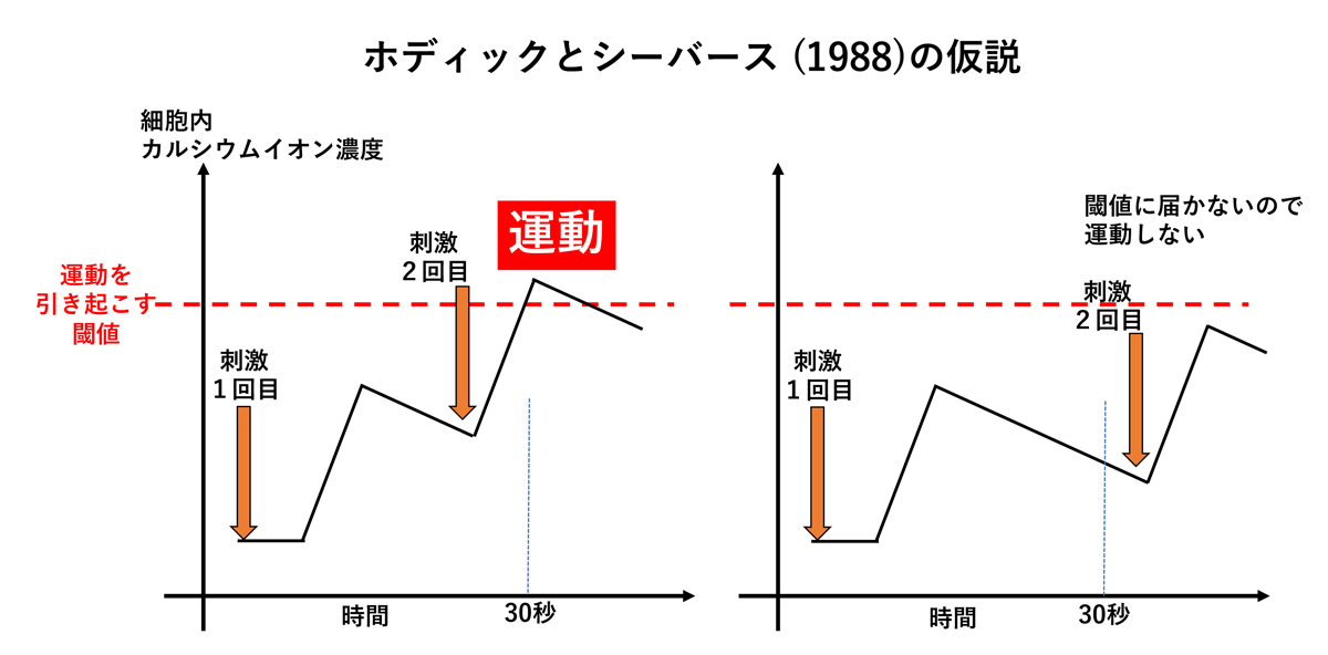 fig2.jpg