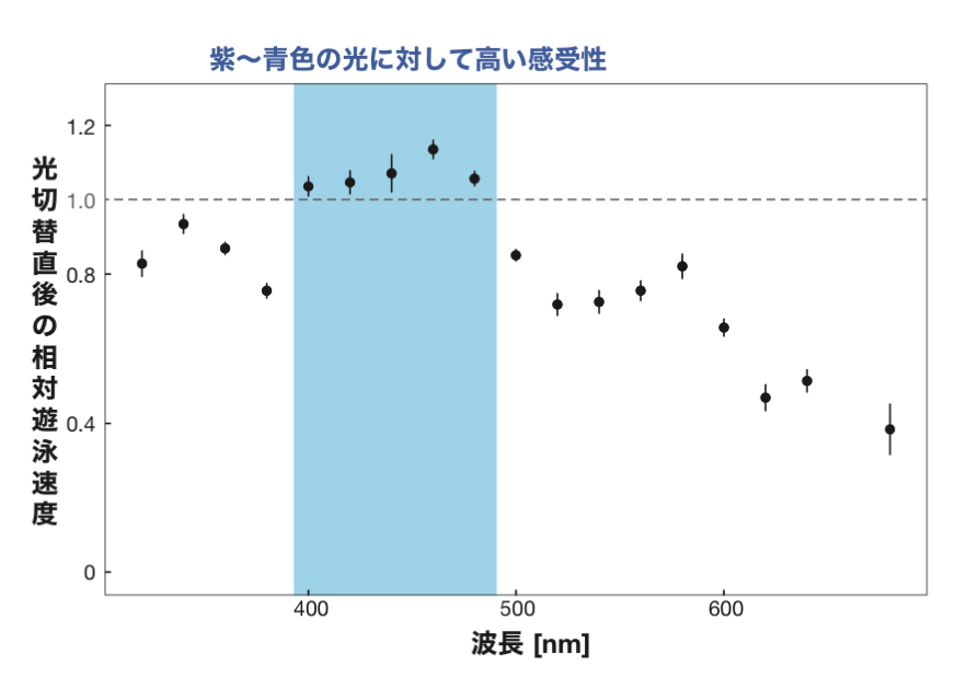 fig4.jpg