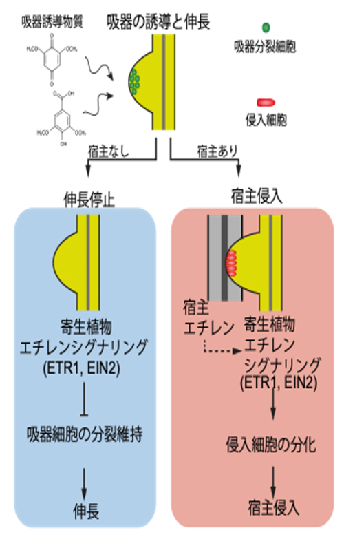 fig3.jpg