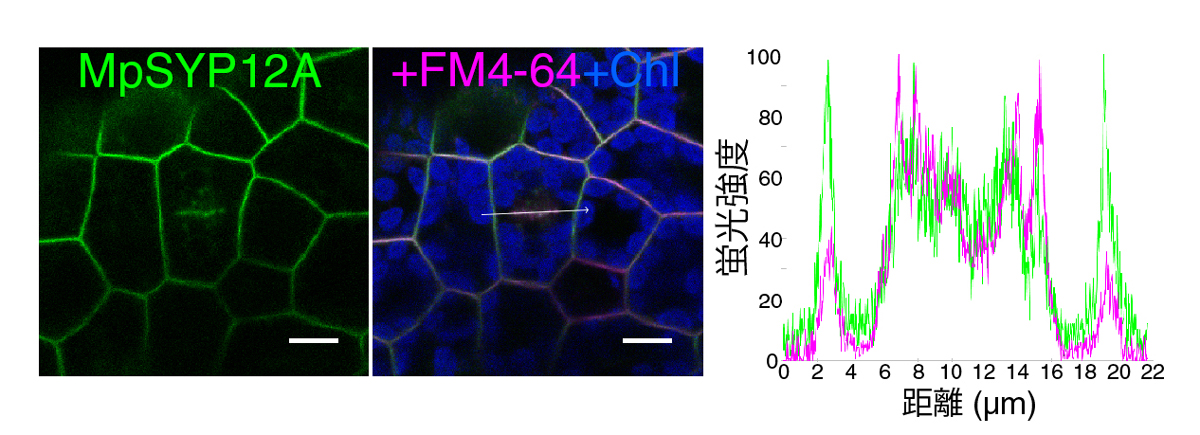 fig2-1.jpg