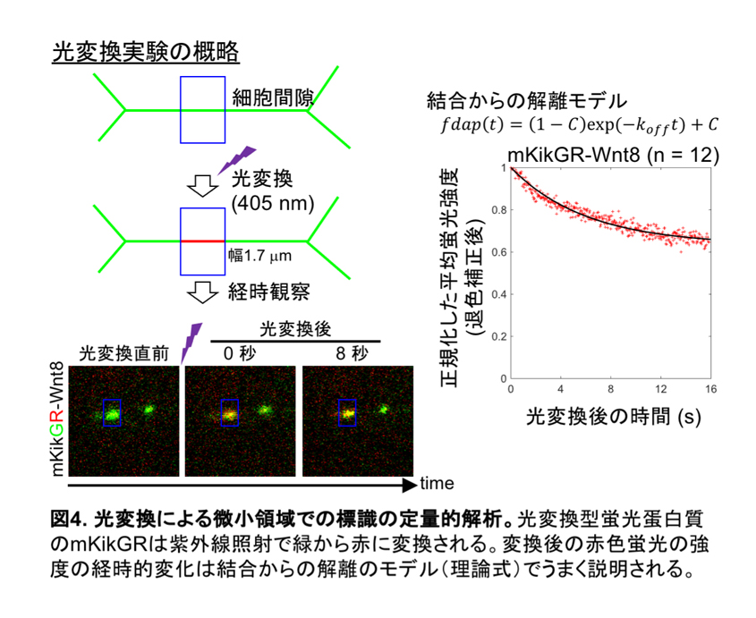 fig4.jpg