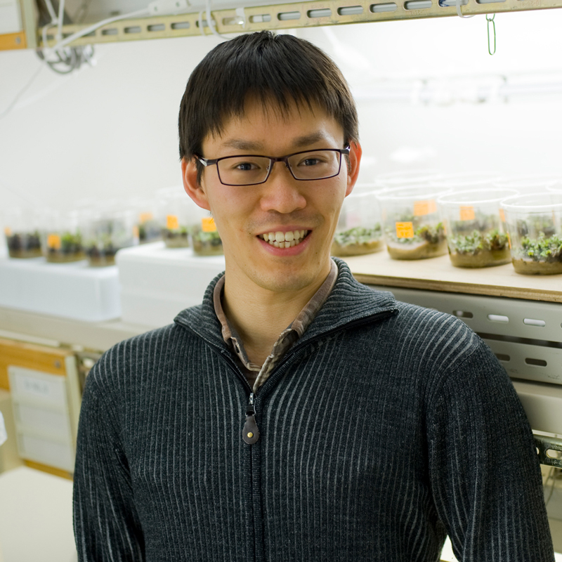 基礎生物学研究所 / お知らせ - 金澤建彦助教が2021年度（第18回）日本植物学会賞若手奨励賞を受賞