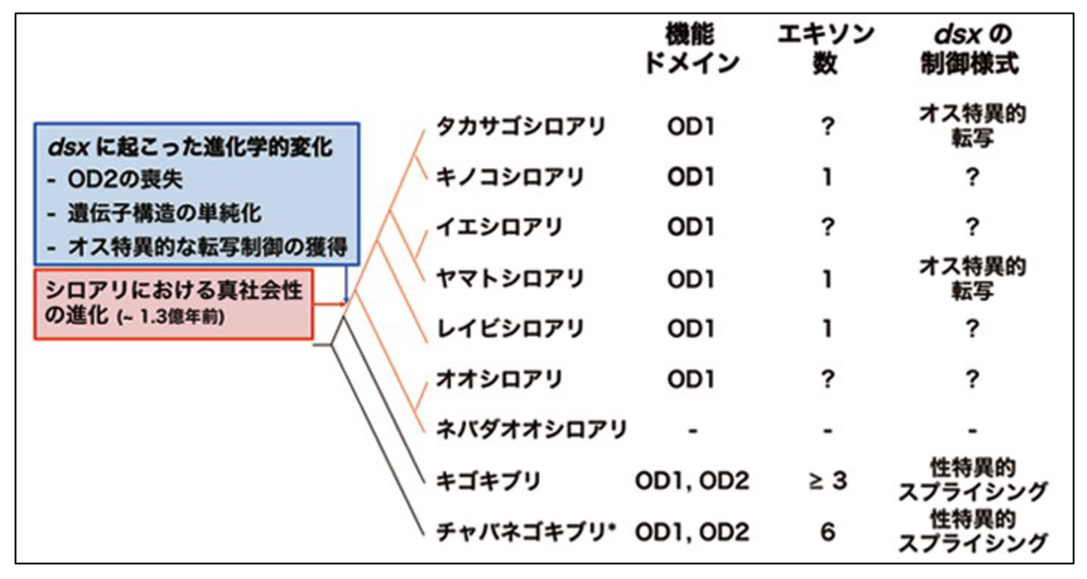 fig3.jpg