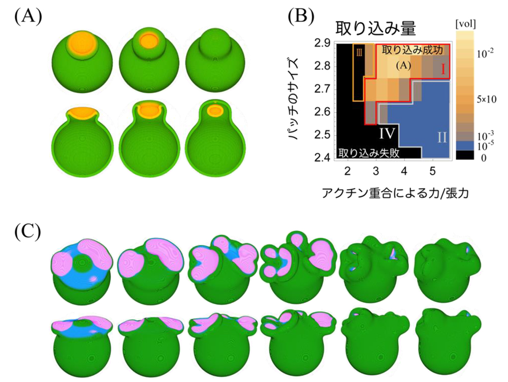 fig2.jpg