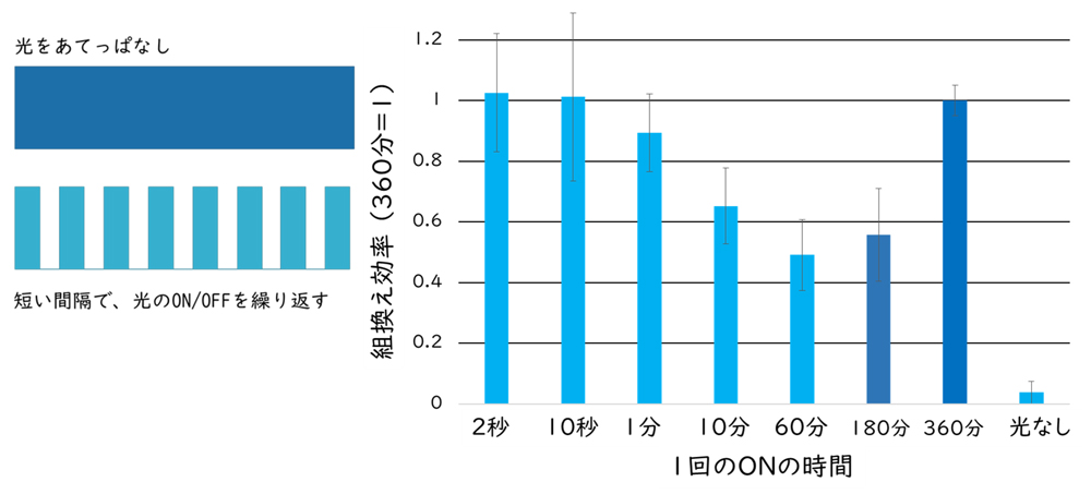 fig2.jpg