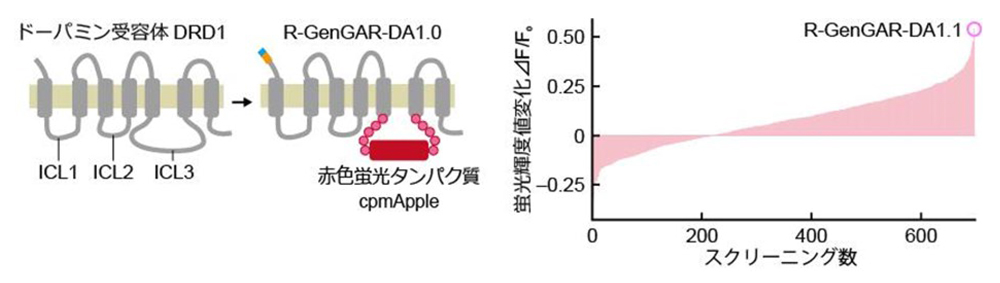 fig2.jpg