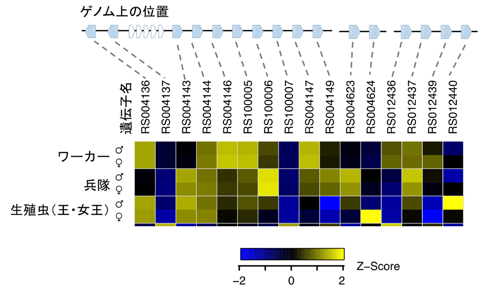 fig3.jpg