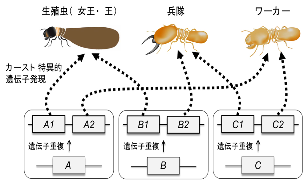 fig4.jpg