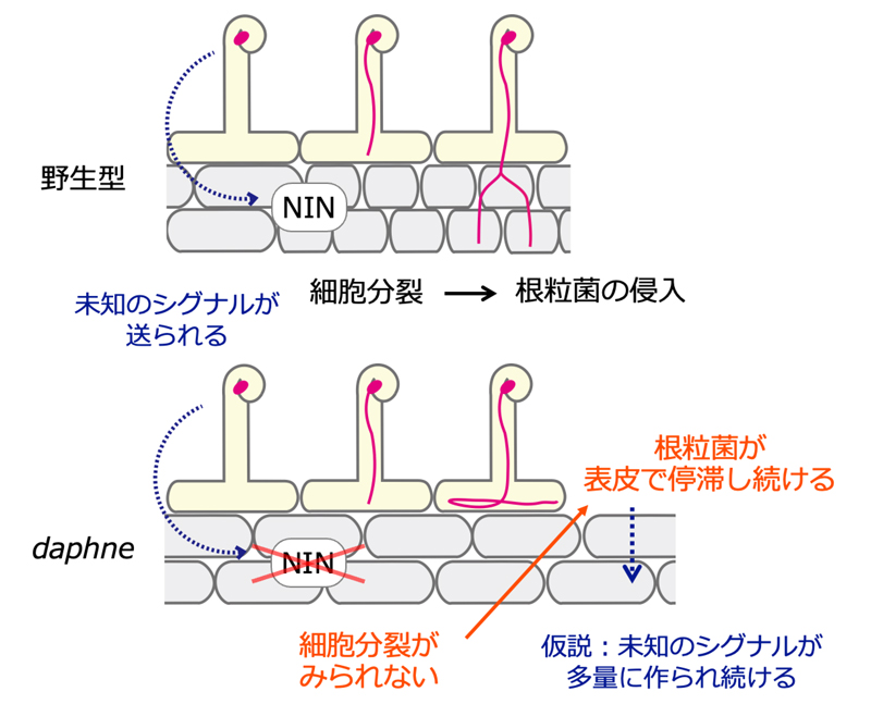 fig3.jpg