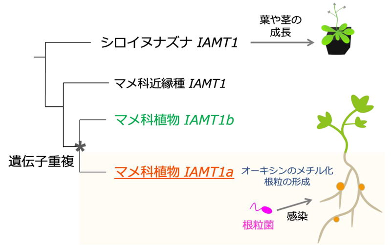 fig5.jpg