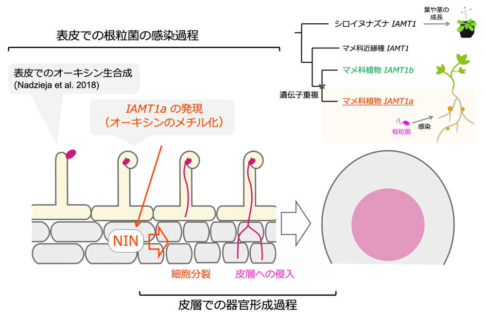 fig8.jpg