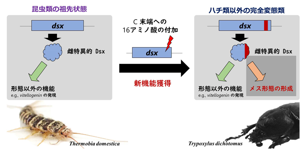 fig5.jpg