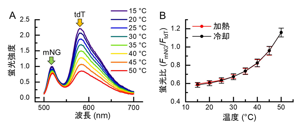 fig2.jpg