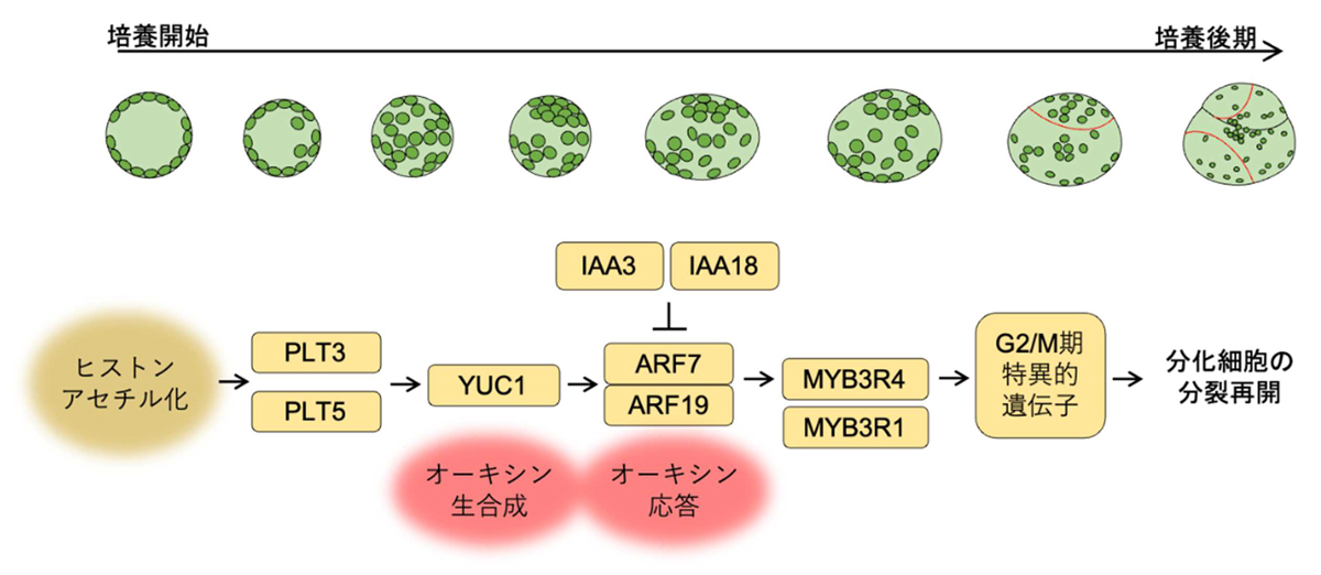 fig3.jpg