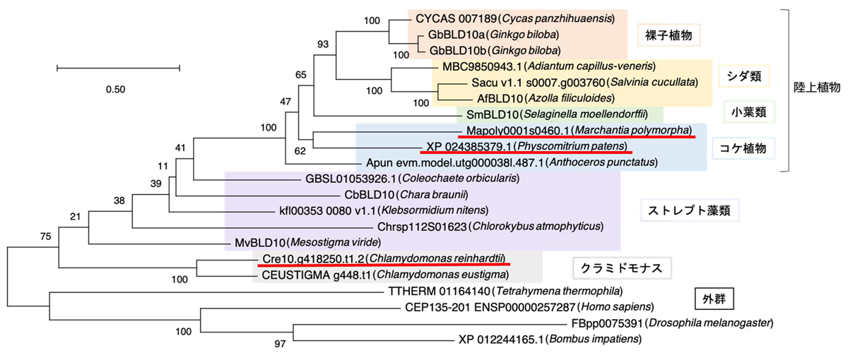 fig3.jpg