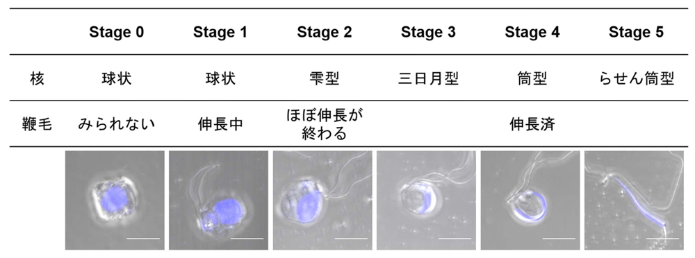 fig2.jpg