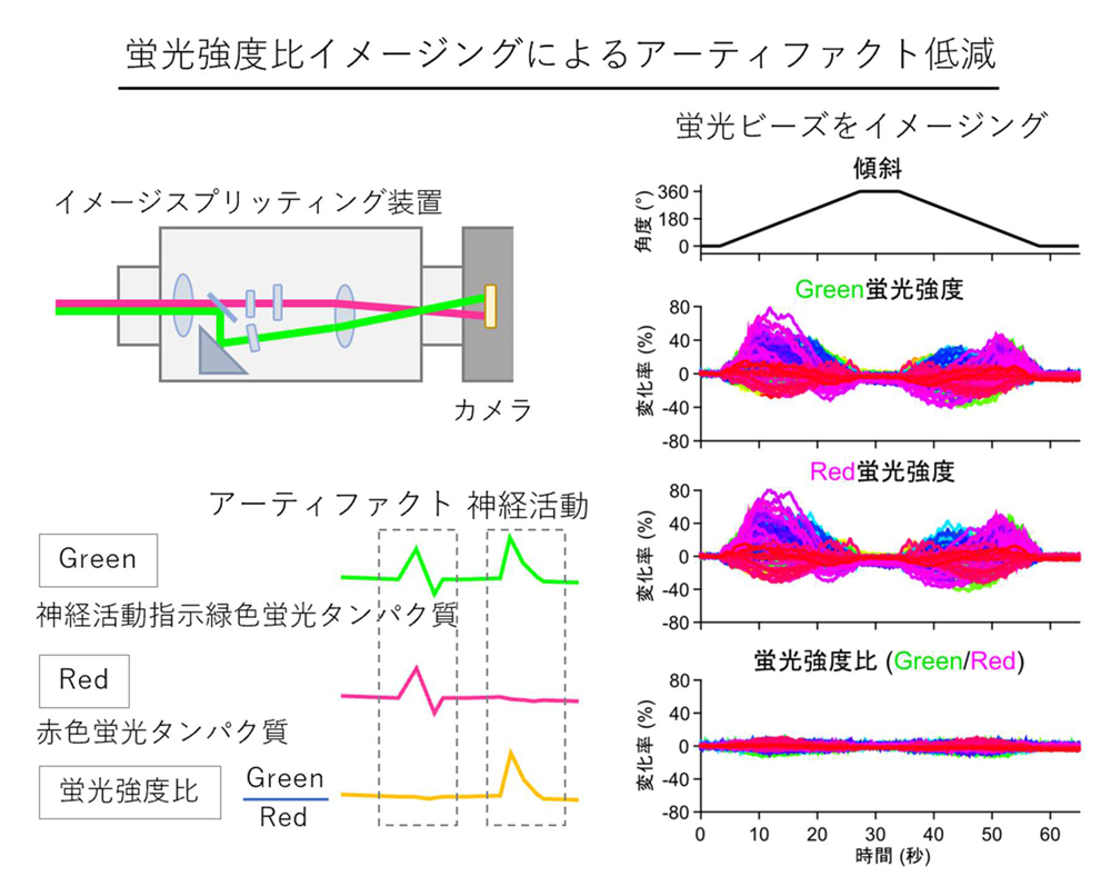 fig3-2.jpg