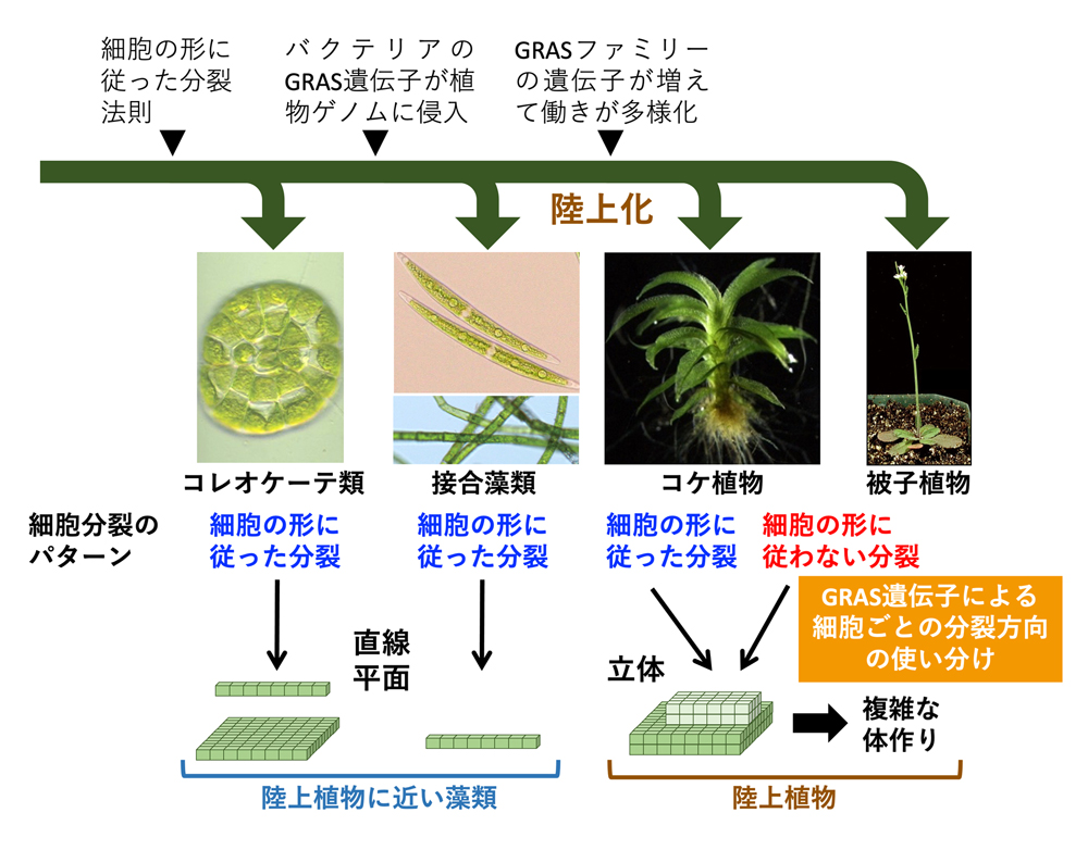 fig5.jpg