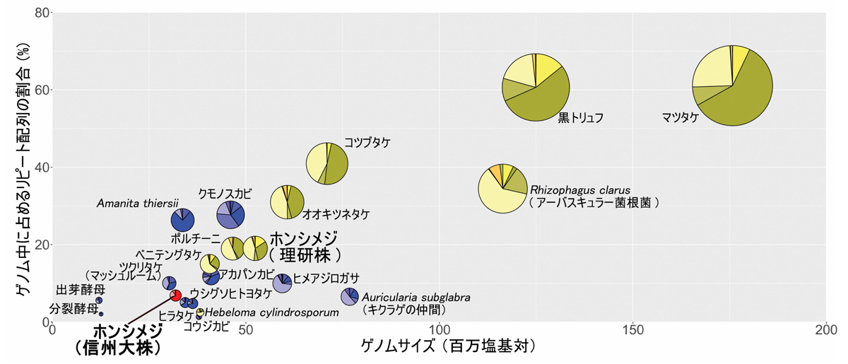 fig3.jpg