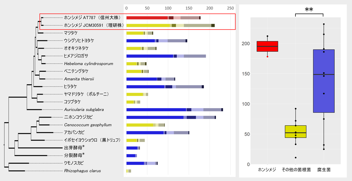 fig4.jpg