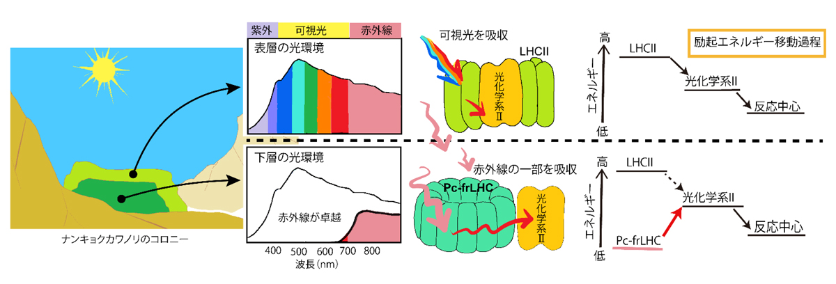 fig3.jpg