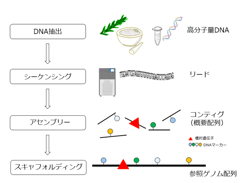 fig2.jpg