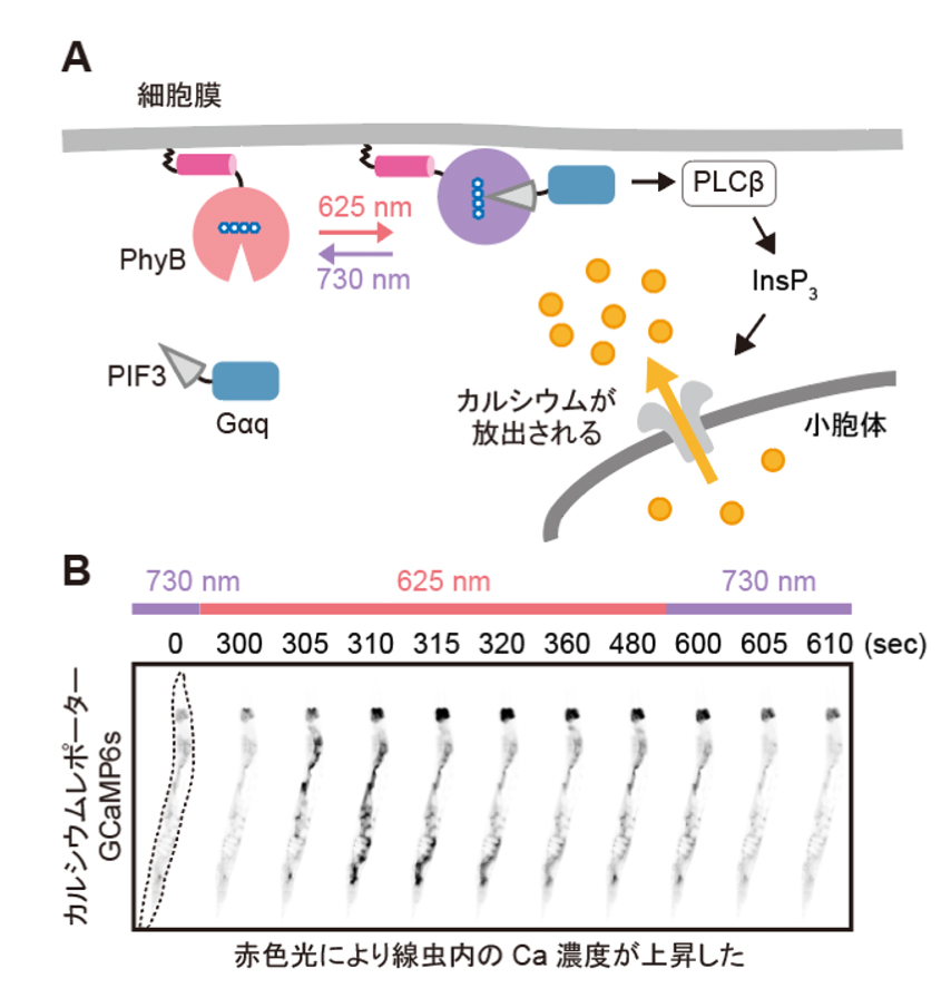 fig3.jpg