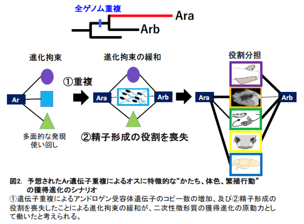 fig2.jpg