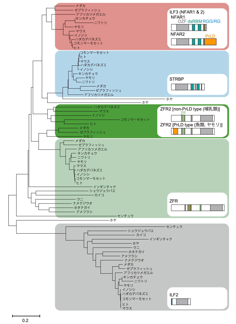 fig2.jpg