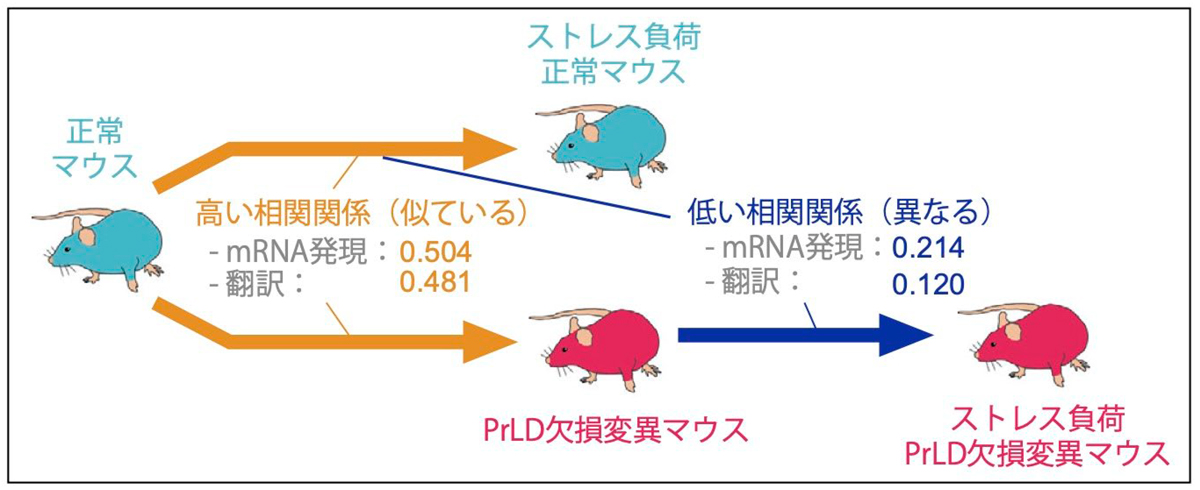 fig3.jpg