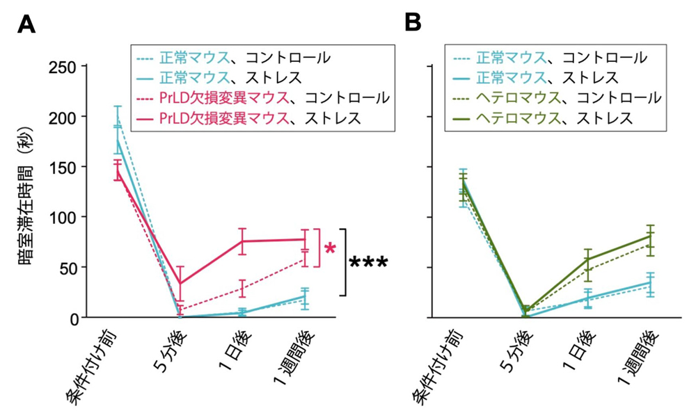 fig4.jpg