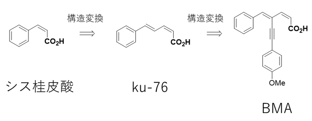 fig1.jpg