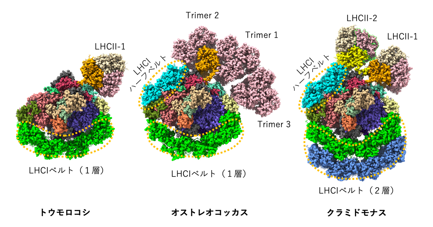 fig3.jpg