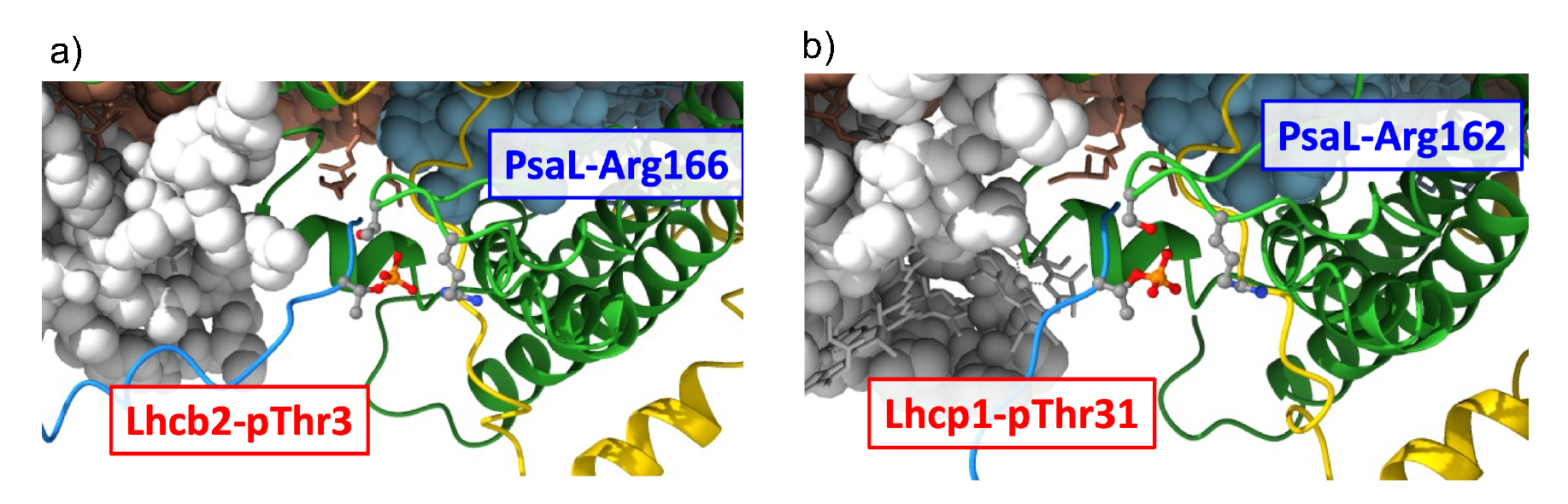 fig4.jpg