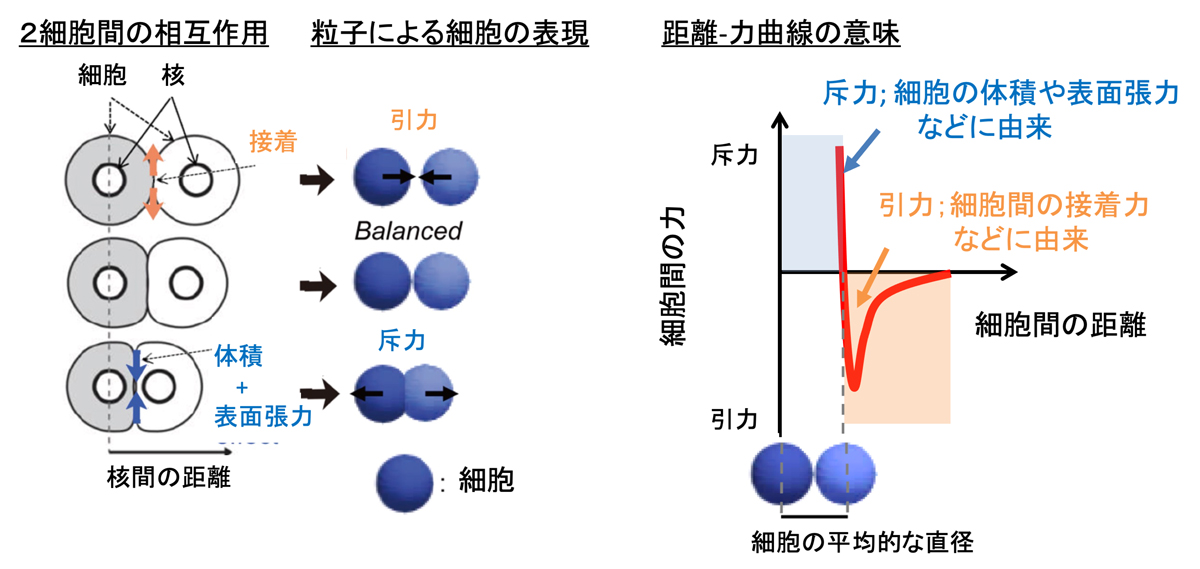 fig2.jpg