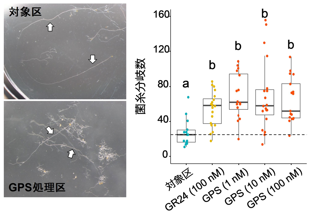 fig2.jpg