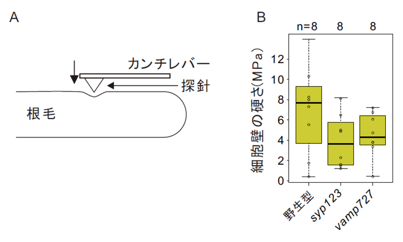 fig7.jpg