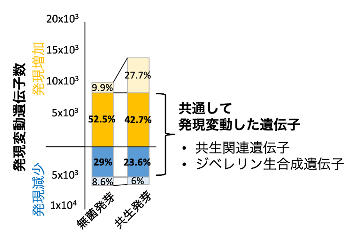 fig2.jpg