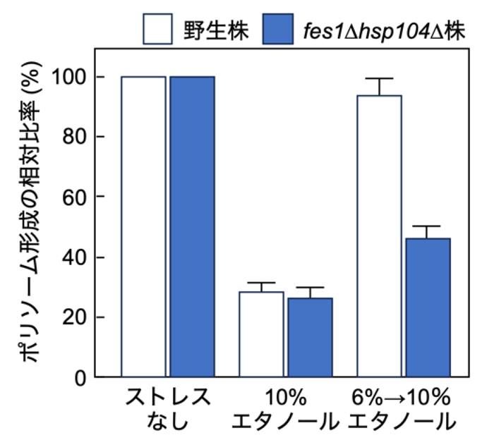 fig1.jpg